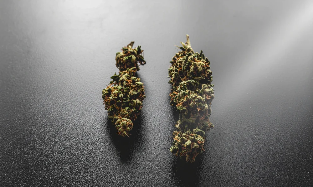 Which States Still Ban Smokable Hemp Flower